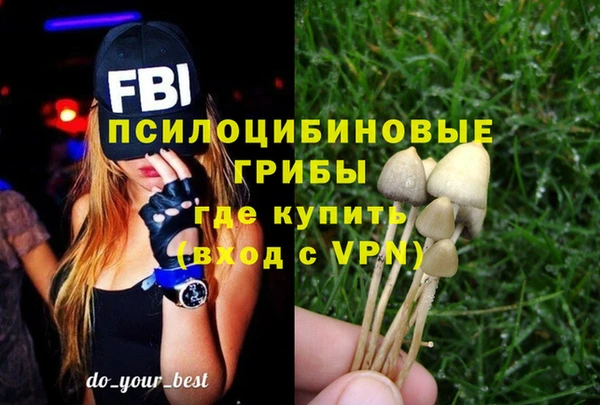 МДПВ Бронницы