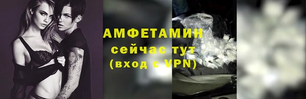гашик Бородино