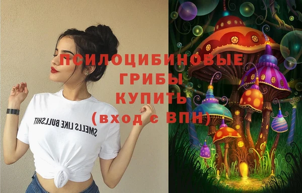 мяу мяу мука Бугульма