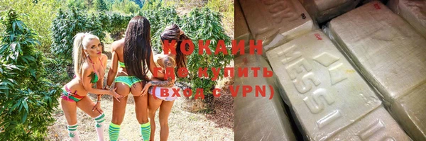 МДПВ Бронницы