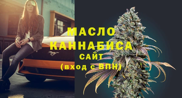 гашик Бородино