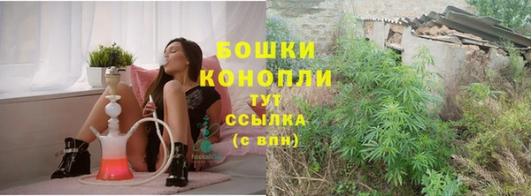 гашик Бородино
