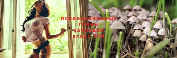 гашик Бородино